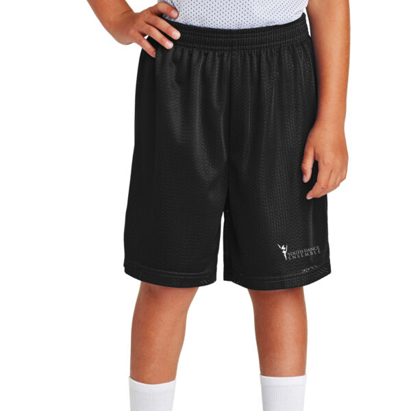Sport-Tek Youth PosiCharge Classic Mesh Short - Printed Logo Thumbnail